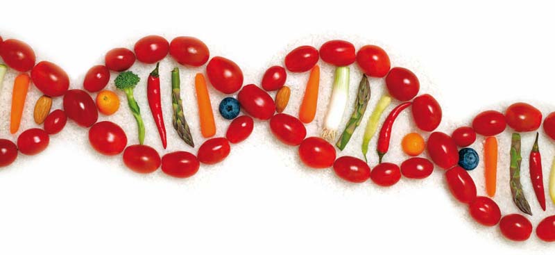 Test Nutrigenético | Quality Clinic Verduras colocadas en forma de cadena ADN