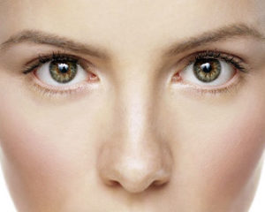 Las fosas nasales y la rinoplastia